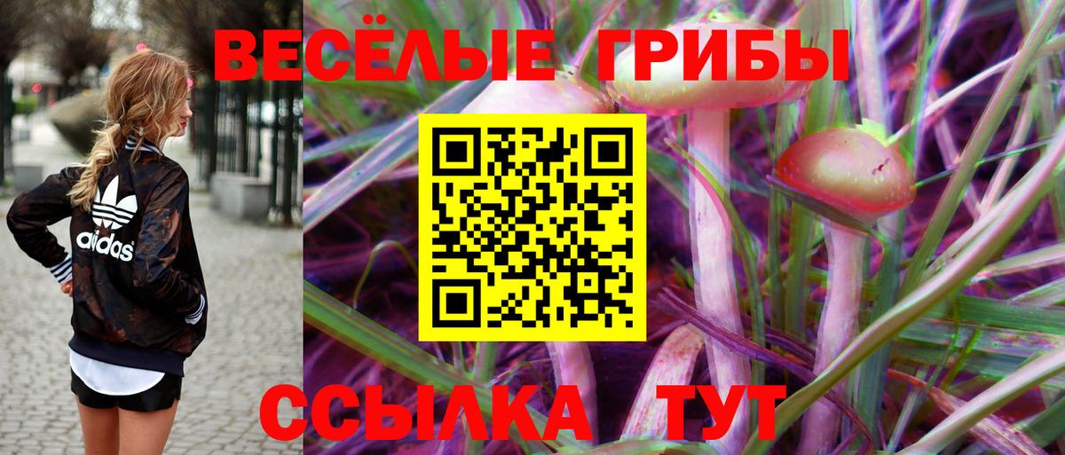 Мефедрон кристаллы  Каннабис  Вход с VPN  Корсаков  Гашиш  Кокаин 