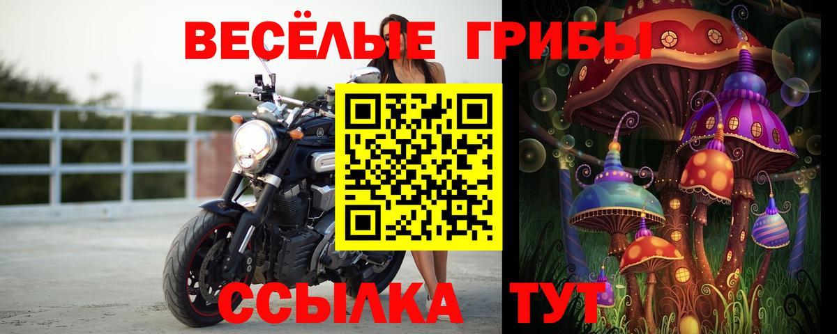 Псилоцибиновые грибы мухоморы  Вход с VPN  где можно купить   Корсаков 