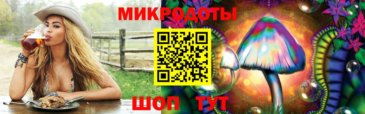 Псилоцибиновые грибы мухоморы Корсаков
